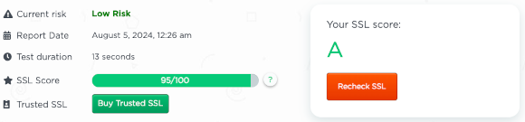 ssl check report risk